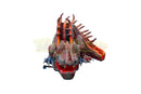 Slideasaurus-BB1584